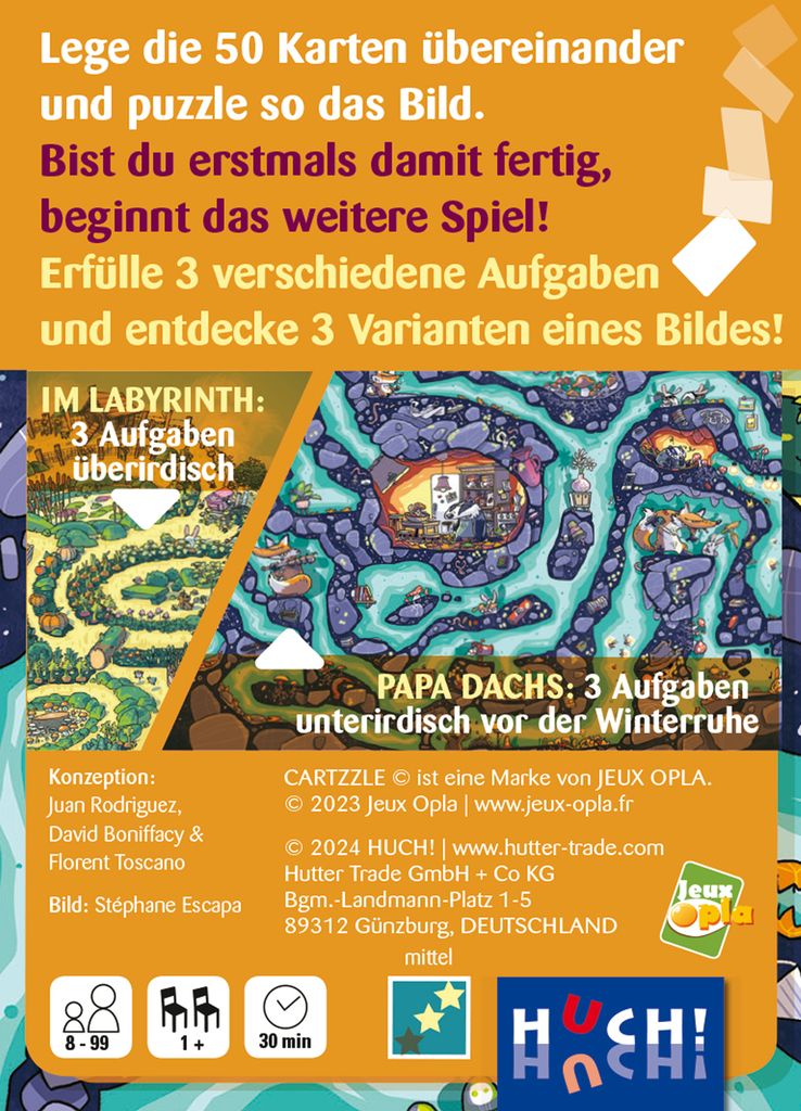 Visuel de Labyrinthe