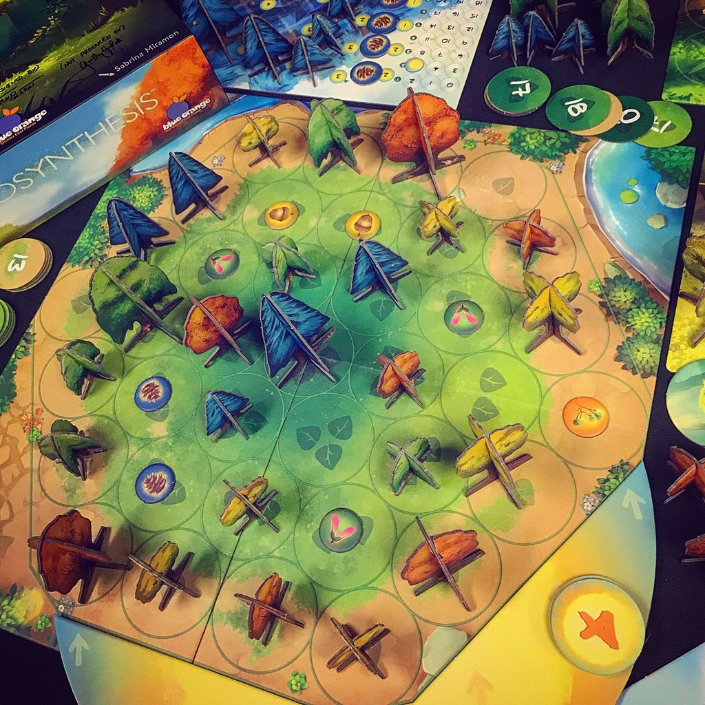 Visuel de Photosynthesis