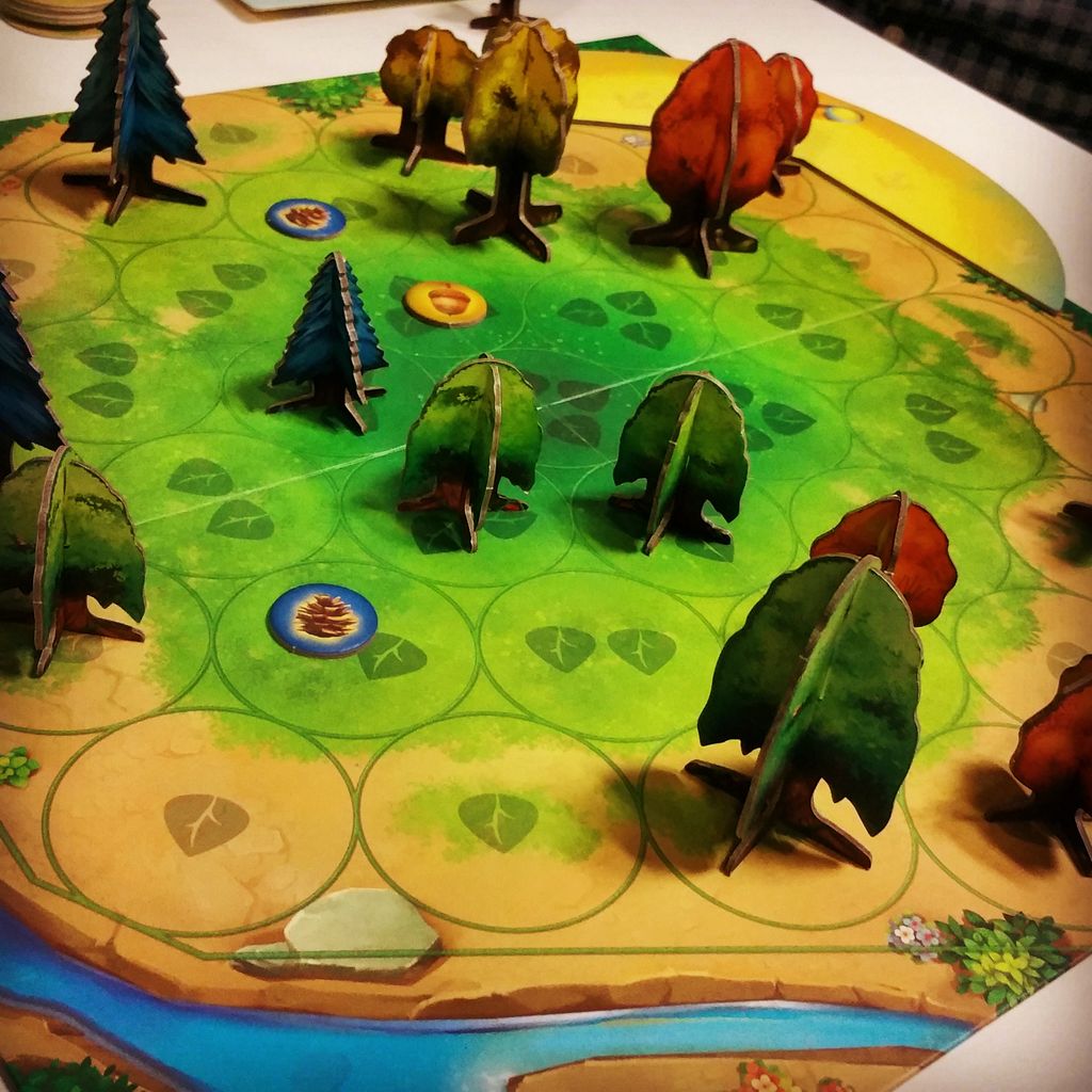 Visuel de Photosynthesis