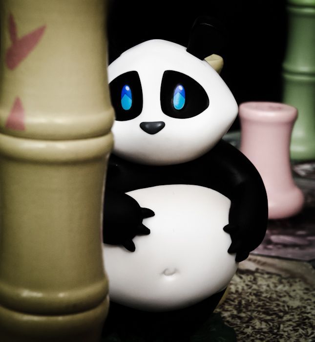 Visuel de Takenoko