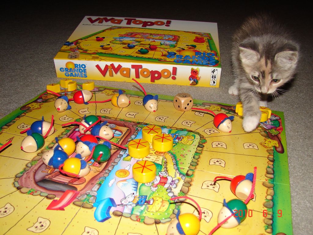 Visuel de Viva Topo