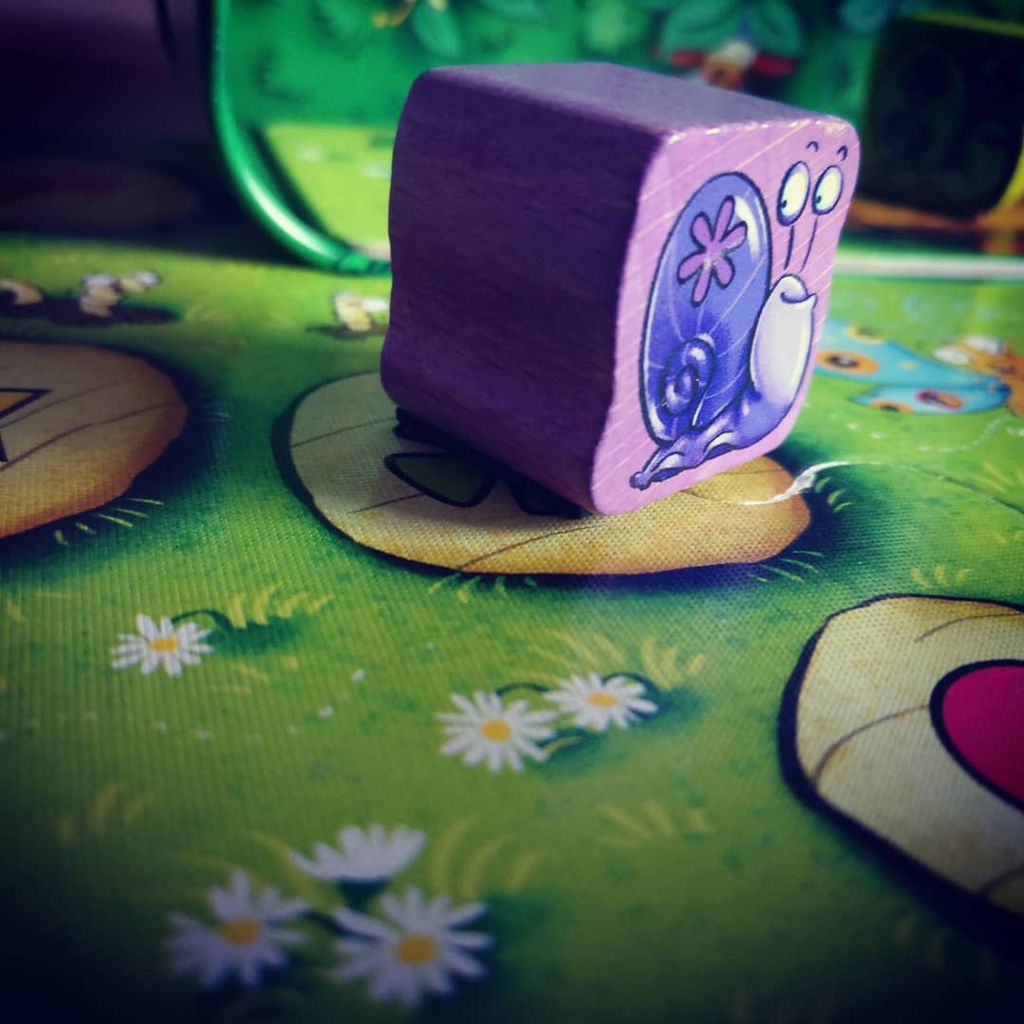 Visuel de Escargots... Prets? Partez