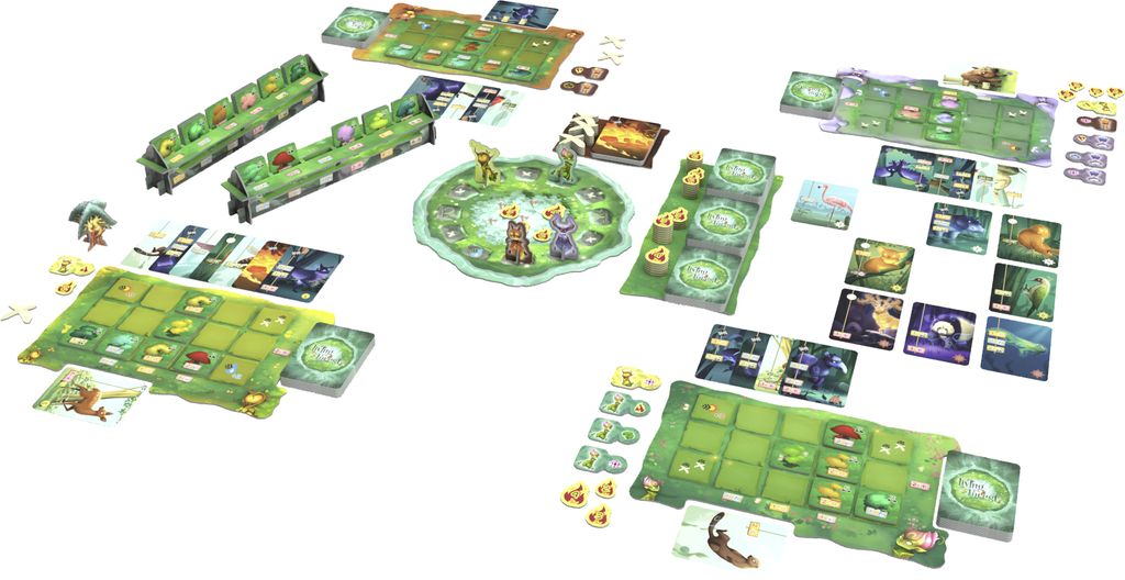 Visuel de Living Forest