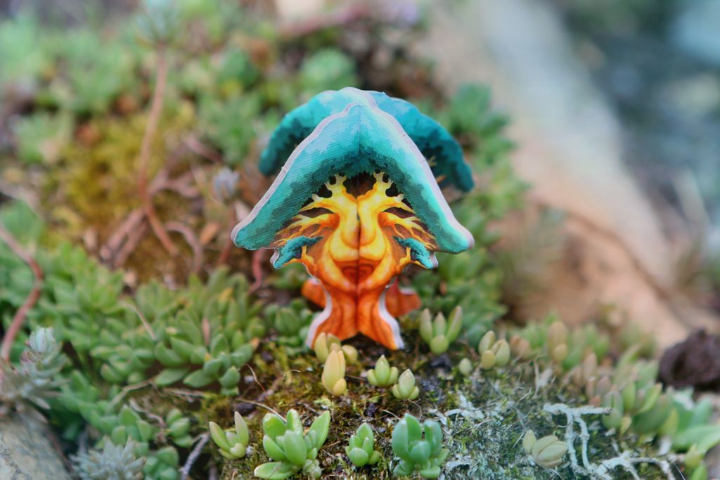 Visuel de Living Forest