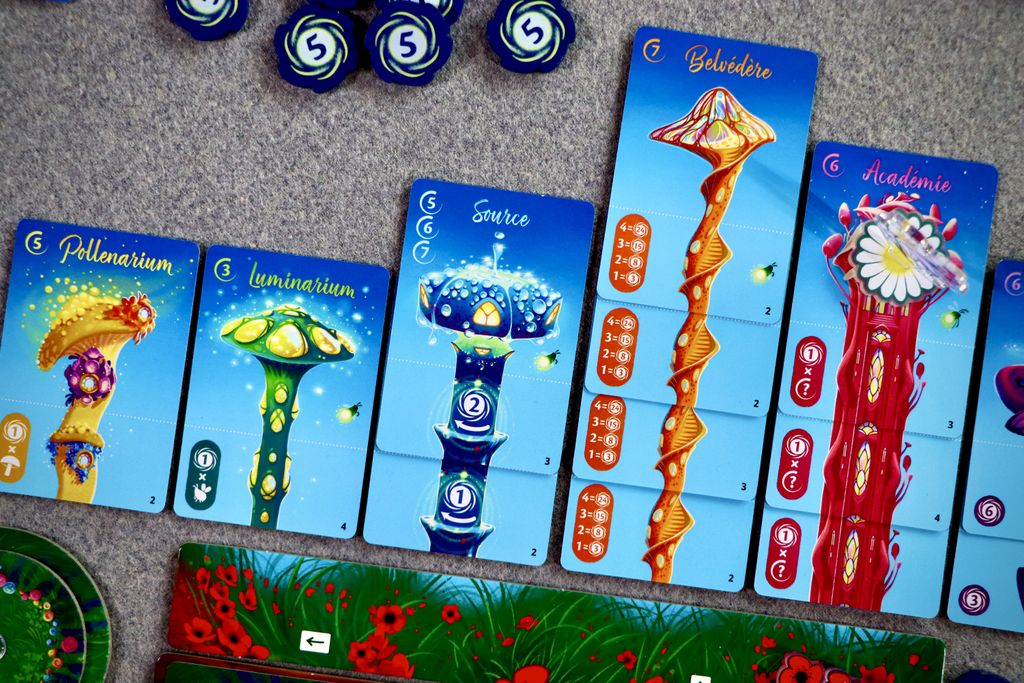 Visuel de Fairy ring