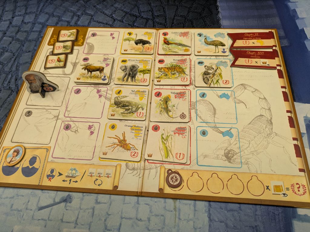 Visuel de Sur les traces de Darwin