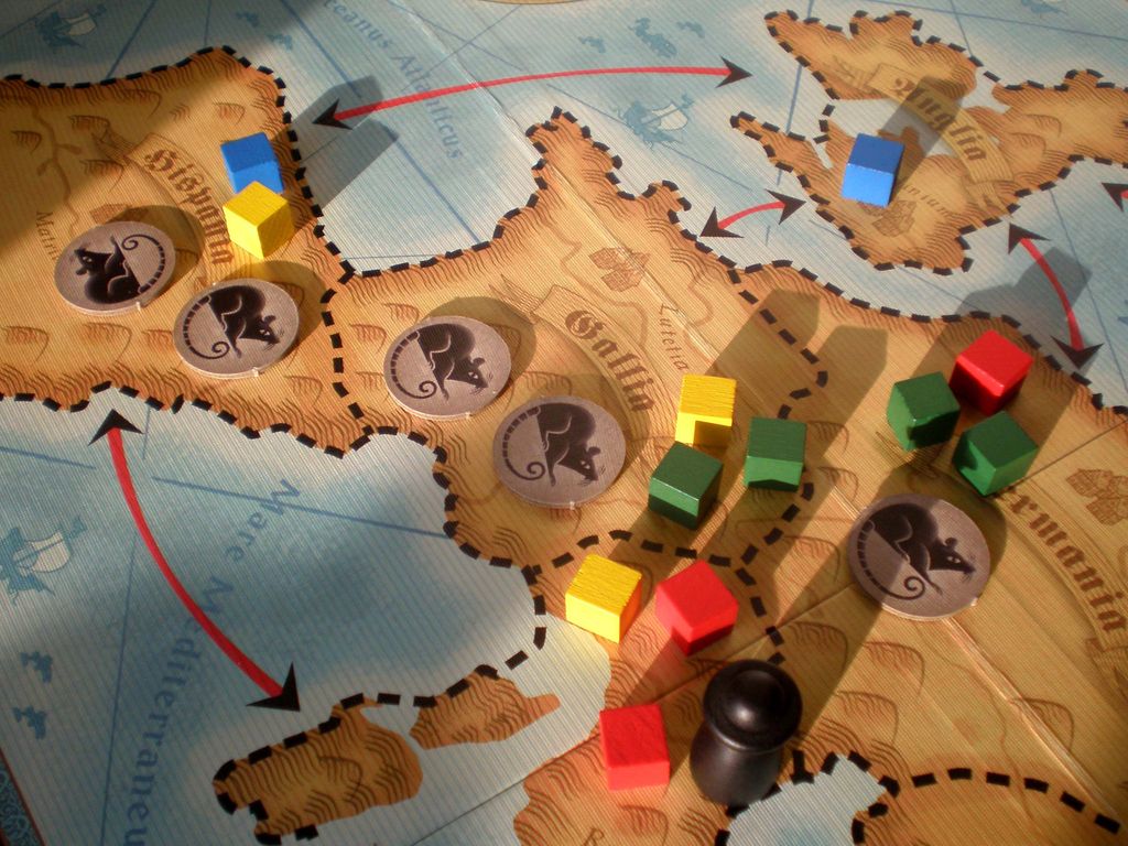 Visuel de RATTUS